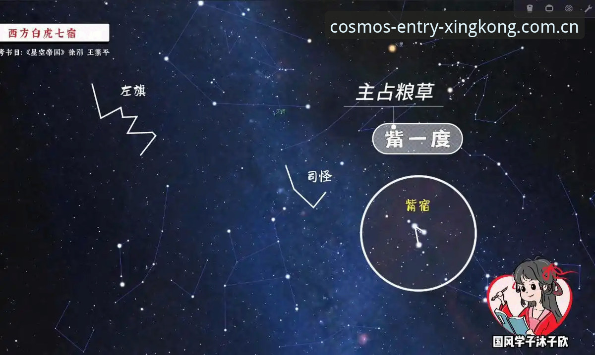 星空入口解决失败 vs 成功接入：三次版本迭代的数据对比与实操指南